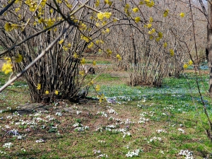 Ef Buxačux Q'ončuğo q'ulluğbanan, Şot'inal və̌x xeyir-bərəkət tadon