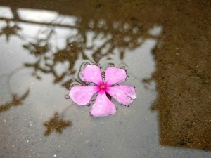 Yaynak' q'ı̌ butene!