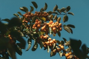 1-ci Ǐvel mə̌ğ 1-3